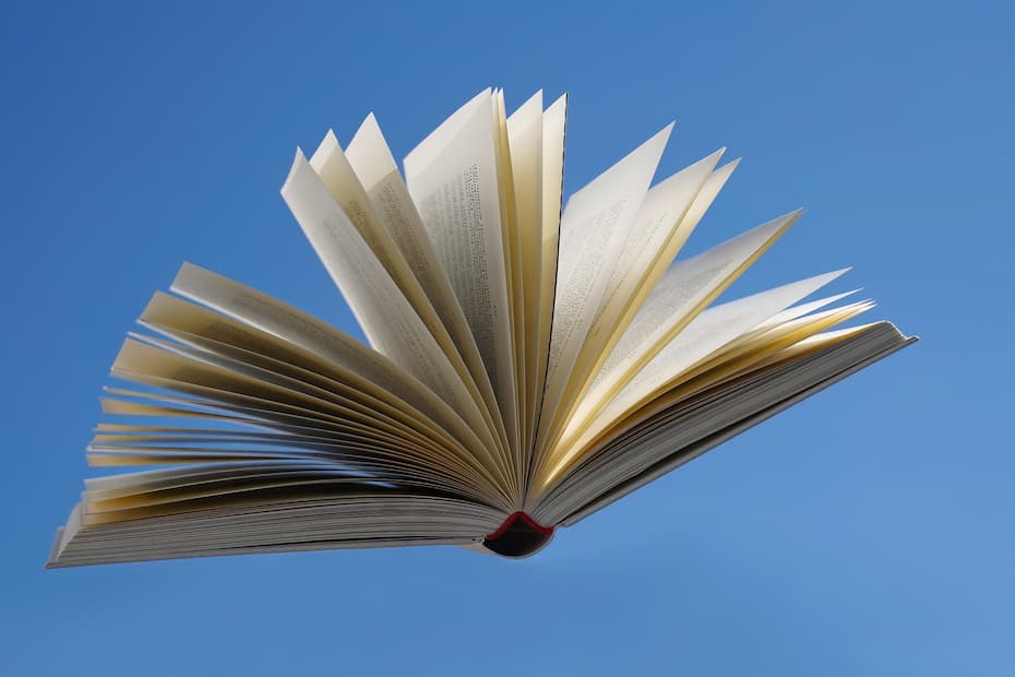 Open book with pages fluttering upward like the wings of a bird, creating a sense of story taking flight.