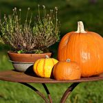Three pumpkins of different sizes and colors on a rustic outdoor table.