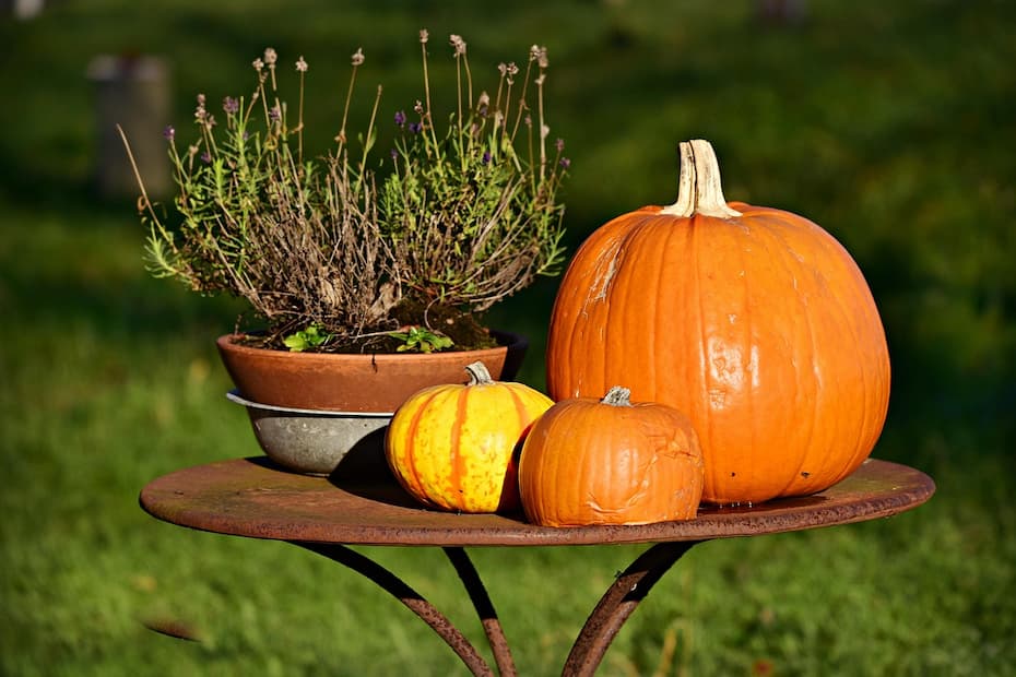 Three pumpkins of different sizes and colors on a rustic outdoor table.
